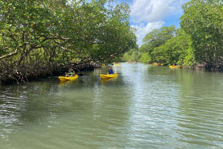 Senderismo y kayak por el Parque Nacional Los Haitises