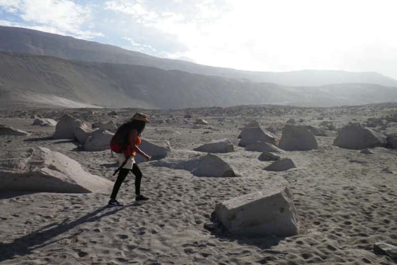 Tour del pisco y el vino por el Valle de Majes