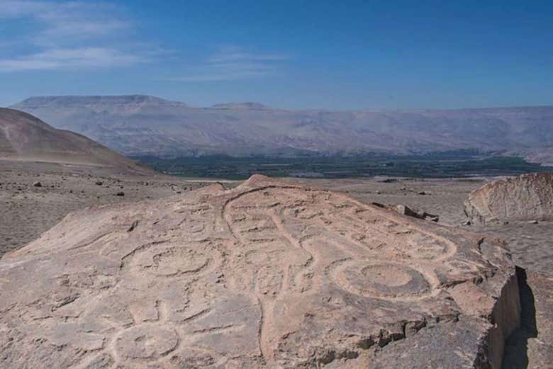 Tour del pisco y el vino por el Valle de Majes