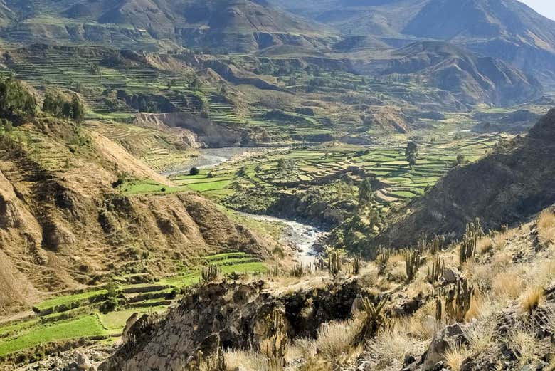 Excursión a Chivay y el Cañón del Colca