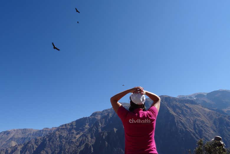 Excursión a Chivay y el Cañón del Colca