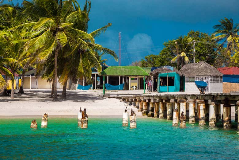 Tour por las playas de isla Saona