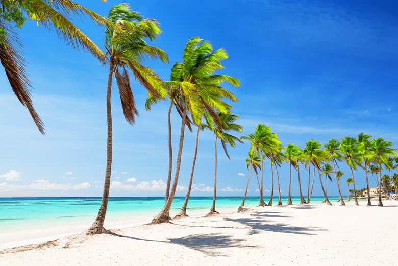Tour por las playas de isla Saona
