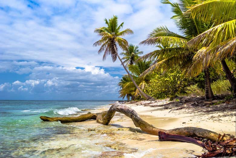 Tour por las playas de isla Saona