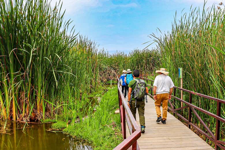 Excursión a los Pantanos de Villa