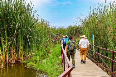 Excursin a los Pantanos de Villa