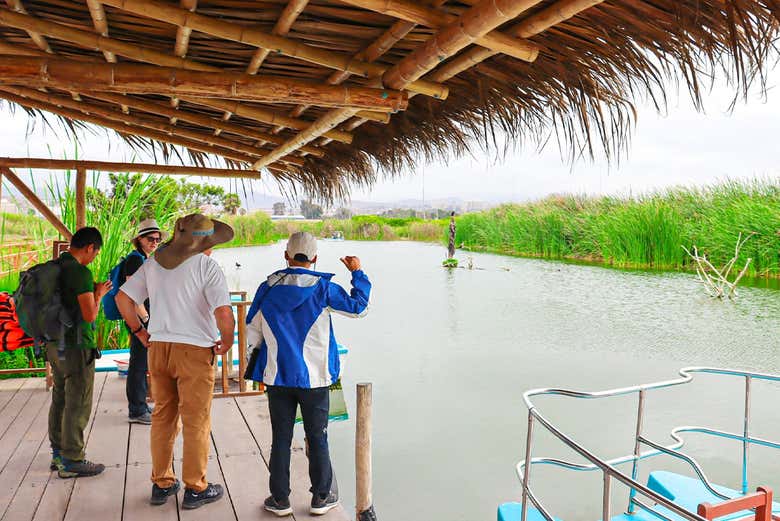 Excursión a los Pantanos de Villa