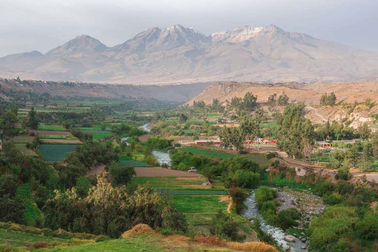 Tour por Arequipa y sus miradores