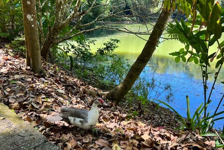 Tour por Puerto Plata y Taino Valley