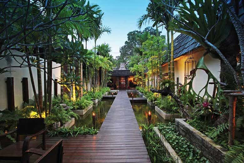 Masaje tailandés en Chiang Mai