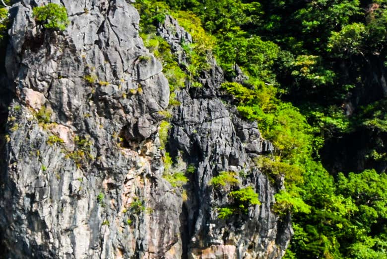 Excursión a la isla de James Bond, Koh Yao e isla Hong en barco