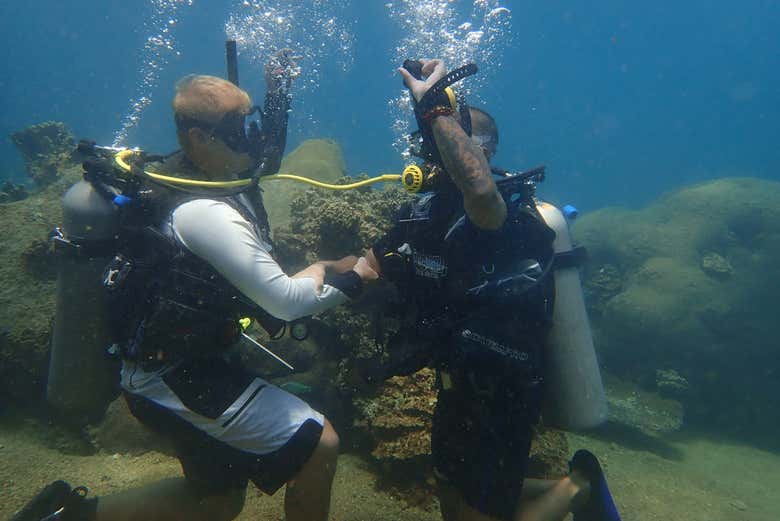 Curso de buceo PADI Open Water