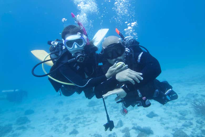 Curso de buceo PADI Open Water