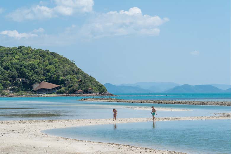 Excursión a la isla de los cerdos y Koh Teand