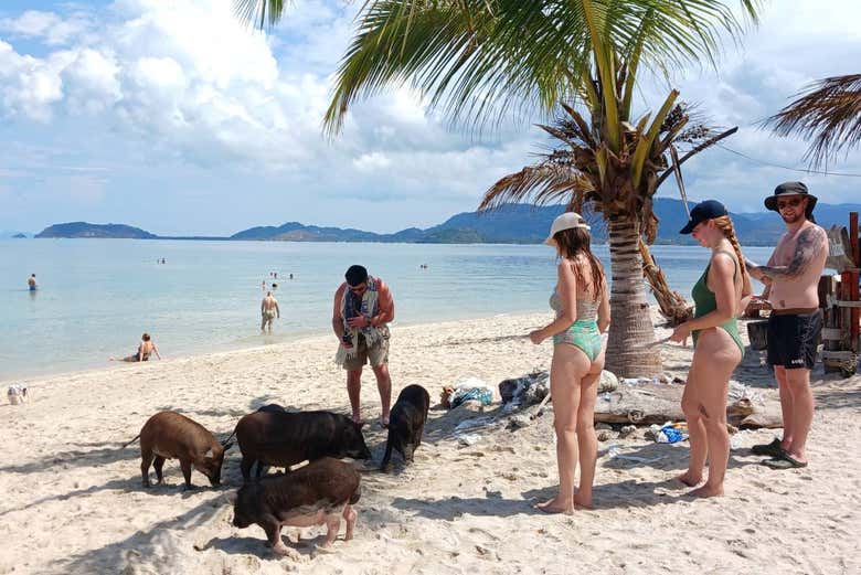Excursión a la isla de los cerdos y Koh Teand