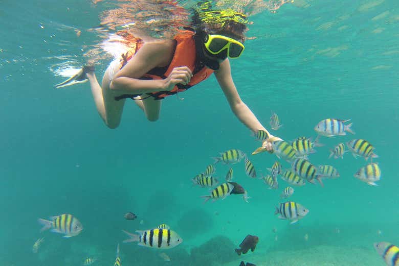 Tour por la Isla de Raya + Snorkel