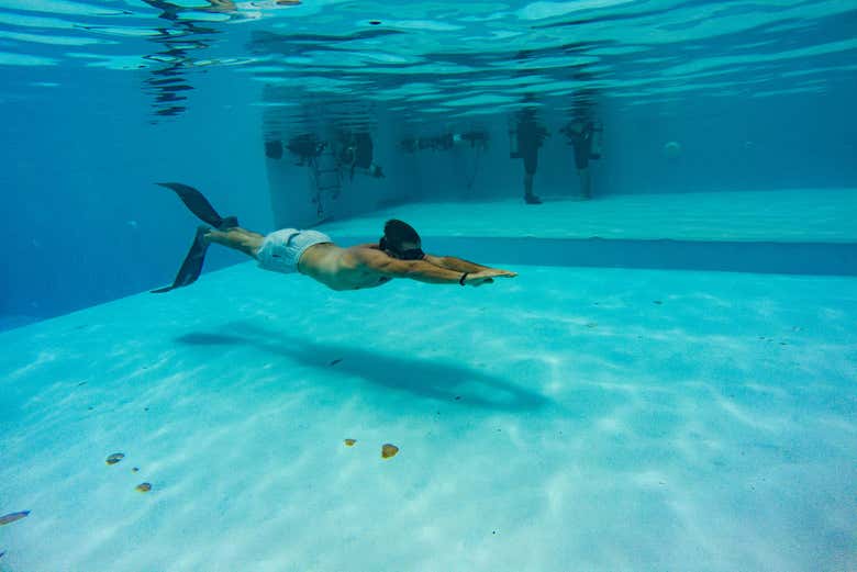 Curso de buceo PADI Open Water