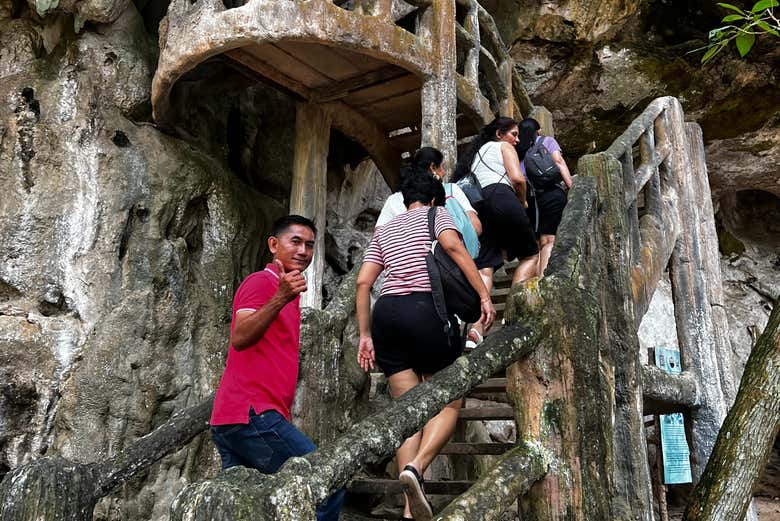 Tour por los manglares de Krabi