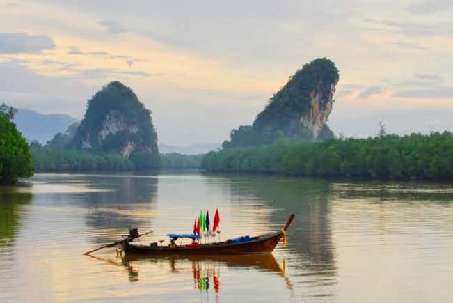 Tour por los manglares de Krabi