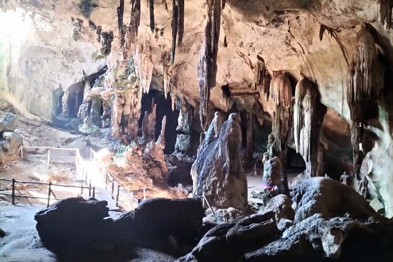 Tour por los manglares de Krabi