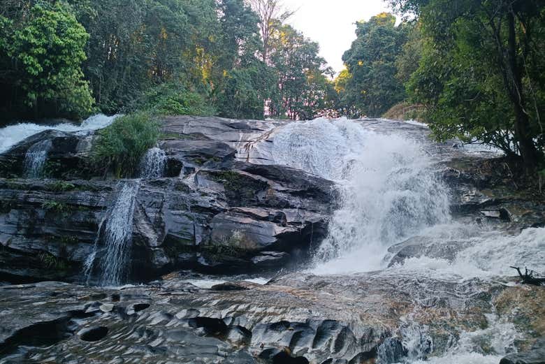 Oferta: Excursión al santuario de elefantes + Doi Inthanon