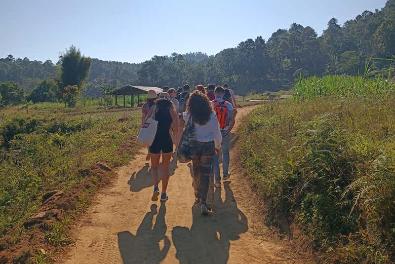 Oferta: Excursión al santuario de elefantes + Doi Inthanon