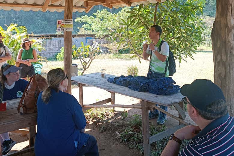 Oferta: Excursión al santuario de elefantes + Doi Inthanon