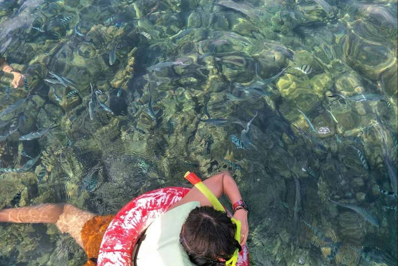 Snorkel y kayak en las islas de Koh Samui