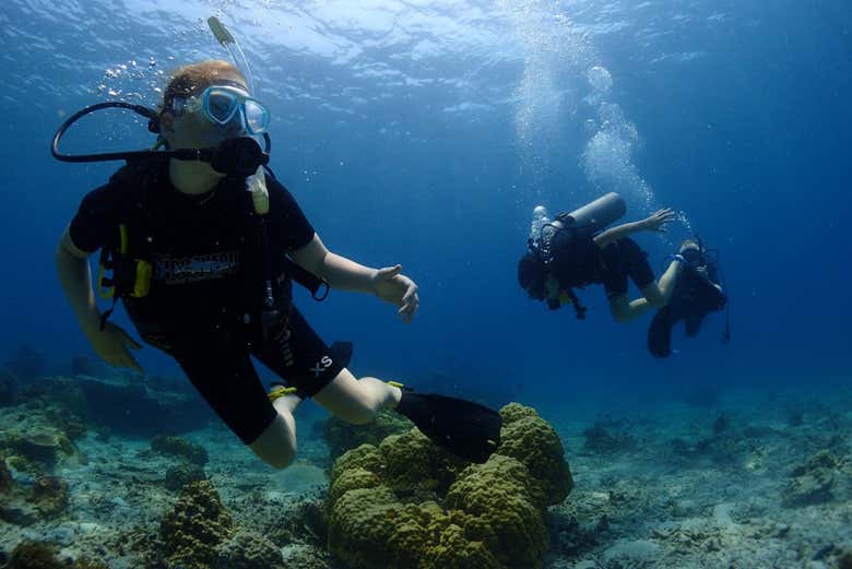 Buceo en Koh Tao
