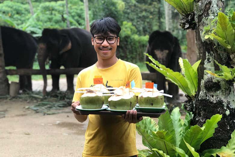 Excursión al santuario de elefantes de Ao Nang