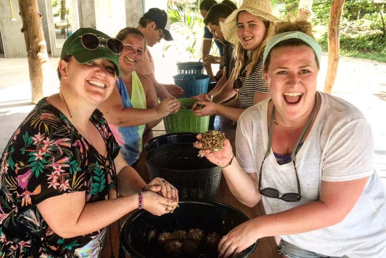 Excursión al santuario de elefantes de Ao Nang