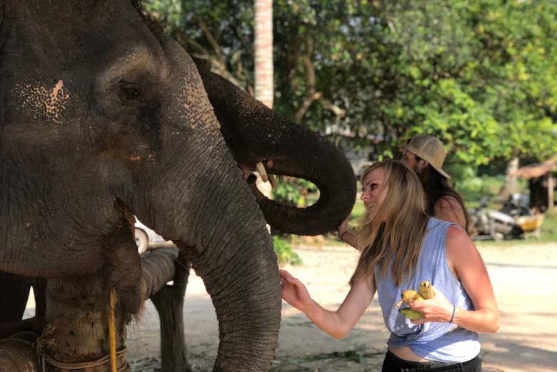Excursión al santuario de elefantes de Ao Nang