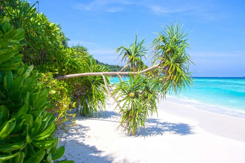 Snorkel en las islas Similan