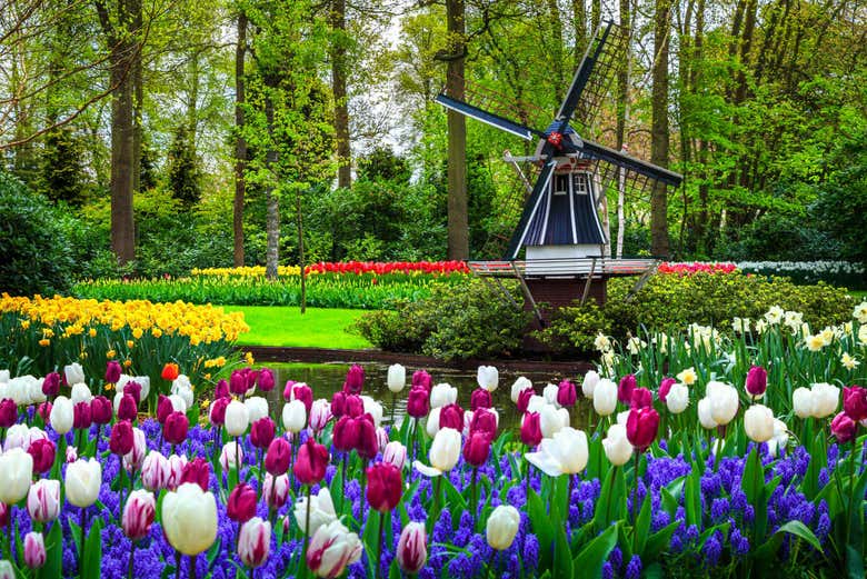 Autobús y entrada a Keukenhof + Paseo en barco por los lagos Kaag