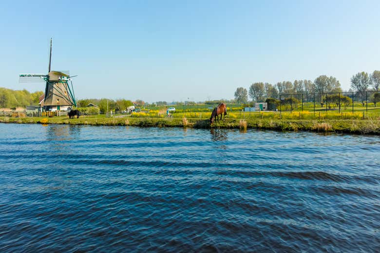 Autobús y entrada a Keukenhof + Paseo en barco por los lagos Kaag