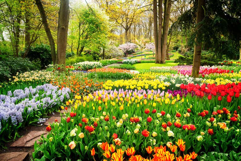 Autobús y entrada a Keukenhof + Paseo en barco por los lagos Kaag