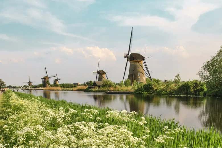 Autobús y entrada a Keukenhof + Paseo en barco por los lagos Kaag