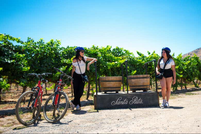 Tour en bicicleta por Viña Santa Rita