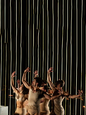 El festín de los cuerpos - Festival Órbita Danza