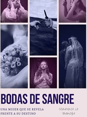Bodas de sangre