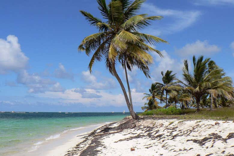 Conducción de lancha rápida en Punta Cana