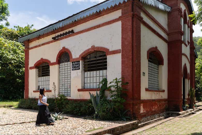 Excursión a San Agustín de Etla