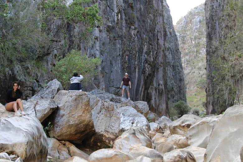 Excursión a Santiago Apoala