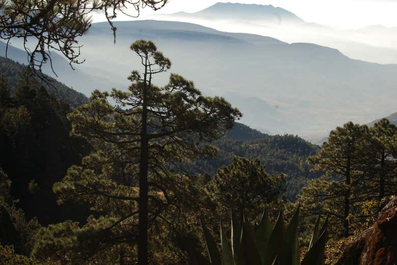 Senderismo por la Sierra Norte de Oaxaca