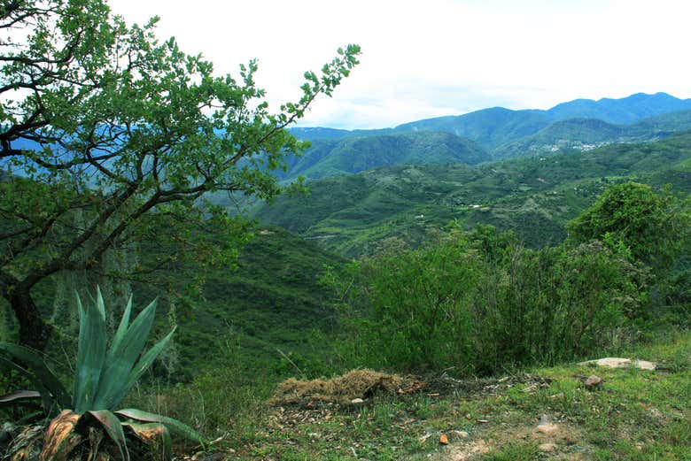 Senderismo por la Sierra Norte de Oaxaca