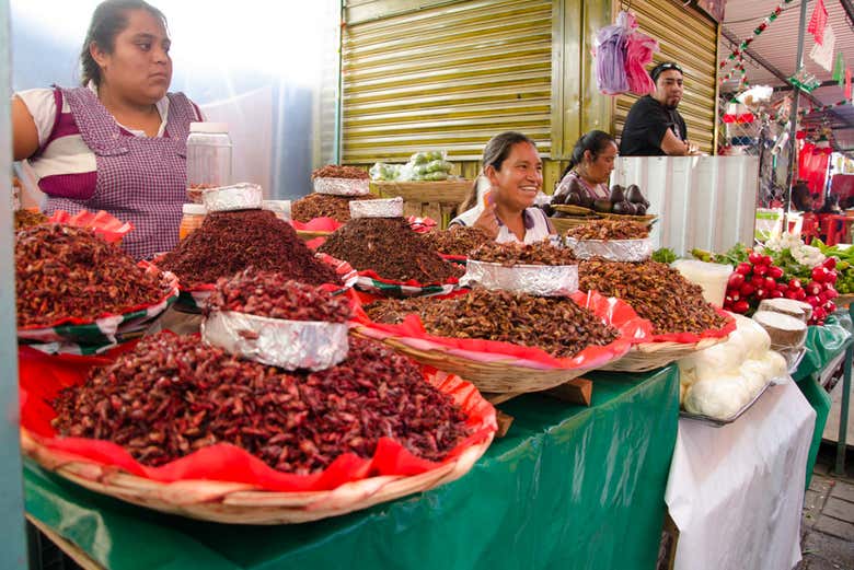 Comida y taller de cocina mexicana