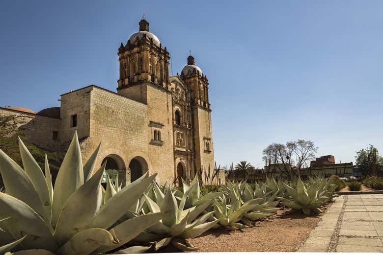 Excursión privada desde Oaxaca