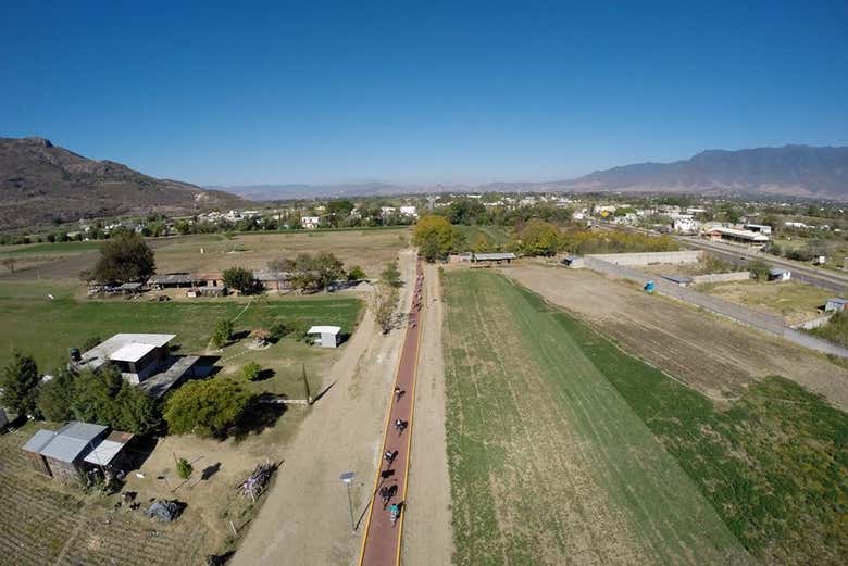 Tour en bicicleta por Santa María del Tule