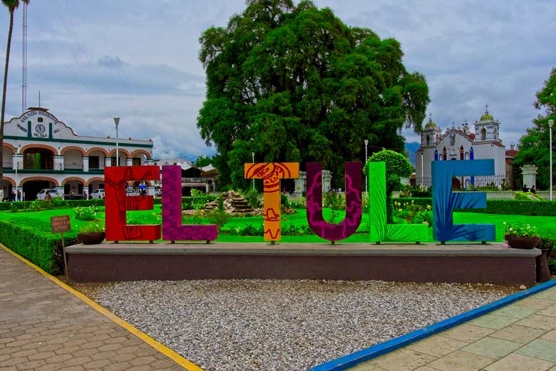 Paseo en ultraligero por Oaxaca