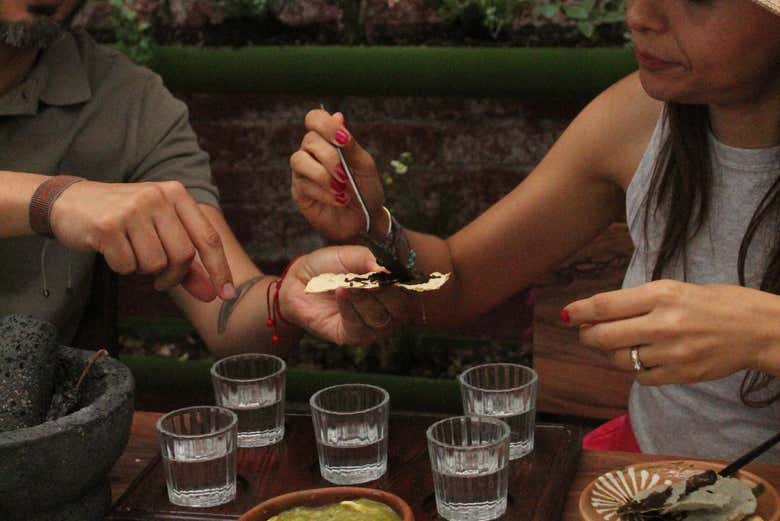 Cata de mezcales en Oaxaca
